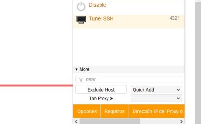Crear un tunel SSH con PuTTY para navegar desde otra IP
